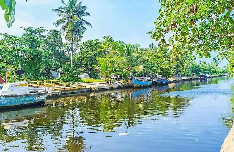 Pensjonat Tranquil Residence Negombo